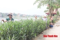 Ngắm nhìn con đường bích họa đầy sống động ở ven biển Hậu Lộc