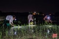 Công nhân thủy lợi thức trắng đêm dẫn nước vào ruộng cứu lúa