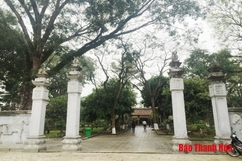 Gìn giữ kiến trúc nghệ thuật 1.000 năm ở di tích Quốc gia đặc biệt đền thờ Lê Hoàn