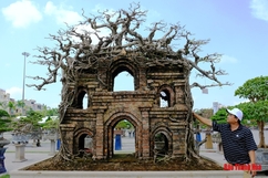 Hàng nghìn cây cảnh độc đáo được trưng bày tại Quảng trường Lam Sơn