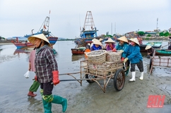 Chợ cá nơi cửa biển Lạch Bạng