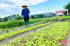Nông dân Thanh Hóa tập trung khôi phục sản xuất sau mưa lũ