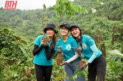 Hoa hậu, á hậu Hoàn vũ Việt Nam tham gia trồng rừng tại Khu BTTN Xuân Liên