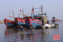 Tích cực kiểm soát tàu cá có nguy cơ vi phạm khai thác bất hợp pháp
