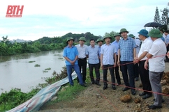 Phó Chủ tịch UBND tỉnh Lê Đức Giang kiểm tra, chỉ đạo xử lý sự cố sụt lún, sạt lở mái đê sông Càn