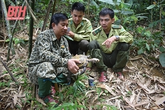 Nâng cao tính đa dạng sinh học ở Khu Bảo tồn thiên nhiên Pù Hu