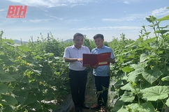 Phát huy hiệu quả vốn tín dụng phát triển nông nghiệp trên địa bàn huyện Hoằng Hóa