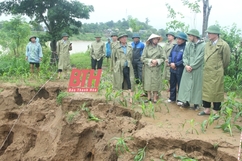 Chủ tịch UBND tỉnh Đỗ Minh Tuấn kiểm tra và chỉ đạo khắc phục hậu quả mưa lũ các huyện Hà Trung và Vĩnh Lộc