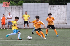 Khởi tranh Giải bóng đá Nhi đồng TP Thanh Hóa lần thứ XVIII năm 2023 - Cúp FLB
