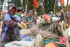 Đi chợ hải sản giữa lòng phố biển