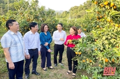 Tham quan mô hình kinh tế du lịch, nông nghiệp công nghệ cao tại huyện Thạch Thành