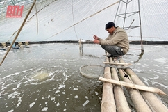 Thực hiện các biện pháp phòng chống rét trong nuôi trồng thủy sản