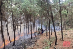 Ban Quản lý rừng phòng hộ Nghi Sơn chủ động bảo vệ rừng, phòng cháy, chữa cháy rừng trong mùa nắng nóng