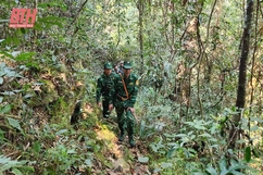 Tuần tra song phương bảo vệ biên giới Việt Nam - Lào