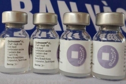 Chỉ sử dụng vắcxin Quinvaxem cho trẻ nhỏ đến hết tháng 5