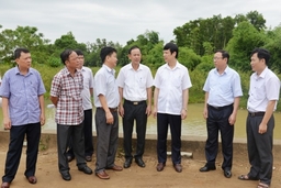 Tăng cường công tác bảo đảm an toàn hồ đập trên địa bàn huyện Như Thanh