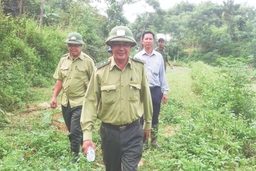 Công tác phối hợp phòng cháy, chữa cháy, bảo vệ rừng ở huyện Như Xuân