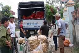 Huyện Vĩnh Lộc: Diện tích cây trồng được liên kết sản xuất, bao tiêu sản phẩm tăng 211,2 ha