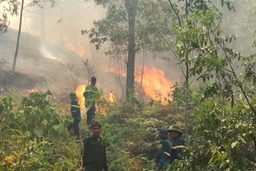 Khống chế cháy rừng tại xã Châu Lộc