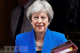 Thủ tướng Anh vượt qua cuộc bỏ phiếu quan trọng tại Hạ viện