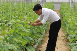 Thanh Hóa thu hút 755 doanh nghiệp đầu tư vào nông nghiệp