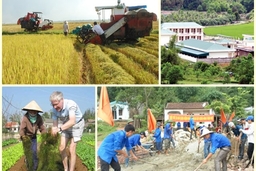 Xã Dân Lý chú trọng thực hiện tiêu chí môi trường nông thôn mới