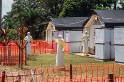 Dịch tả và bệnh Ebola diễn biến phức tạp tại Cộng hòa Dân chủ Congo