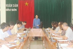 Ban Pháp chế HĐND tỉnh giám sát tình hình chấp hành pháp luật về trật tự ATGT tại thị xã Bỉm Sơn