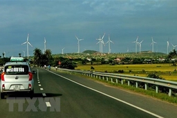 Chính phủ ban hành Quy định mới về giá điện gió tại Việt Nam