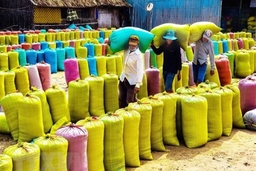 Chính phủ Việt Nam trao tặng 5.000 tấn gạo cho nhân dân Cuba