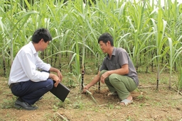 Những chuyển biến trong công tác đào tạo cán bộ ở huyện Quan Hóa