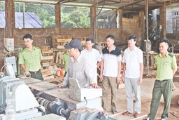 Thực hiện hiệp định đối tác tự nguyện về thực thi Luật Lâm nghiệp, quản trị rừng và thương mại lâm sản tại Thanh Hóa