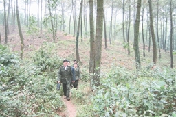 Kiểm lâm viên về địa bàn xã góp phần nâng cao hiệu quả bảo vệ và phát triển rừng