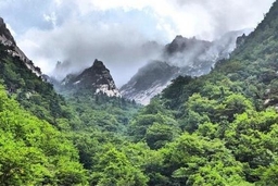 Hai miền Triều Tiên kỷ niệm 20 năm ngày mở tuyến du lịch núi Geumgang