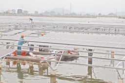 Kỳ vọng thu hút các dự án điện mặt trời tại Thanh Hóa