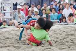 Môn đấu vật Ssrieum của hai miền Triều Tiên là Di sản văn hóa thế giới
