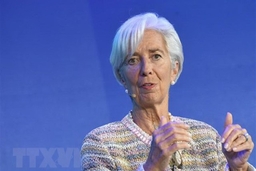 IMF: Những quốc gia theo chủ nghĩa đơn phương đối mặt tương lai u ám