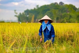 Ngày 11-12, bắt đầu Đại hội toàn quốc Hội Nông dân Việt Nam lần thứ 7