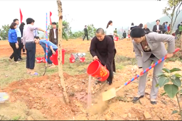 Huyện Thạch Thành phát động Tết trồng cây “Đời đời nhớ ơn Bác Hồ”