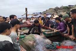 Chợ cá ven biển tấp nập ngày đầu năm