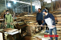 Công tác an toàn lao động tại các cơ sở sản xuất, chế biến gỗ còn bị xem nhẹ