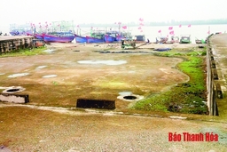Lãng phí vốn đầu tư công trình sửa chữa tàu thuyền ở phường Quảng Cư