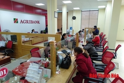 Agribank Bắc Thanh Hóa kiên định mục tiêu phát triển tam nông