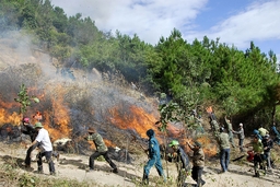 Tăng cường các biện pháp cấp bách phòng cháy, chữa cháy rừng