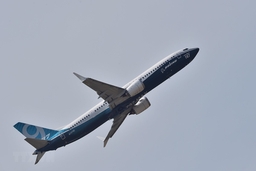 Phi công châu Âu lo ngại khả năng Boeing 737 MAX bay trở lại