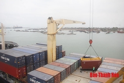 Tuyến vận tải quốc tế container - cơ hội thuận lợi cho doanh nghiệp xuất nhập khẩu