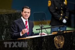 Mỹ điều tra tham nhũng đối với cựu Tổng thống Mexico Pena Nieto