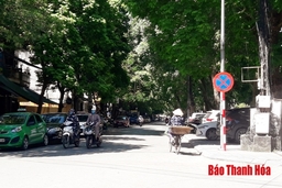 TP Thanh Hóa: Nan giải tìm nơi đậu, đỗ xe trong nội thành