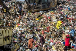 Indonesia gửi trả Australia 8 container chứa hơn 200 tấn rác thải