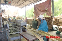 Giá trị sản xuất công nghiệp, tiểu thủ công nghiệp trên địa bàn huyện Như Thanh đạt 1.195 tỷ đồng